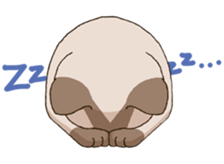 Tofu & Hijiki sticker #453994