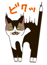 Tofu & Hijiki sticker #453995