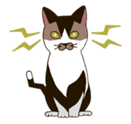 Tofu & Hijiki sticker #453996