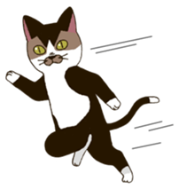 Tofu & Hijiki sticker #453998