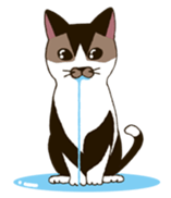 Tofu & Hijiki sticker #453999