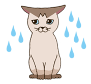 Tofu & Hijiki sticker #454003