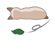 Tofu & Hijiki sticker #454007