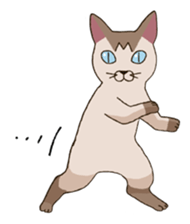 Tofu & Hijiki sticker #454008