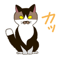 Tofu & Hijiki sticker #454009