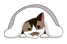 Tofu & Hijiki sticker #454017