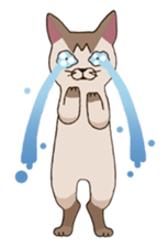 Tofu & Hijiki sticker #454018