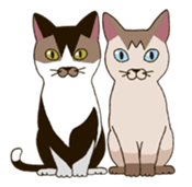 Tofu & Hijiki sticker #454020