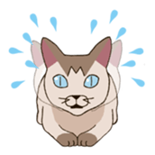 Tofu & Hijiki sticker #454022