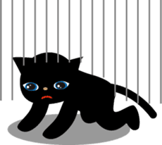 Kuro of the stray cat and Piyo sticker #454721