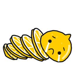 Cut lemon and Lime sticker #455112