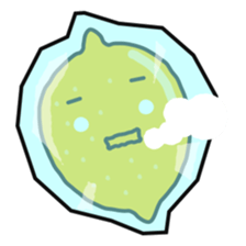 Cut lemon and Lime sticker #455118