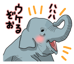 the funny zoo sticker #457009