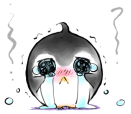 Penguin Panda "Chiu & Mao" sticker #457633