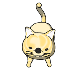 Tiger cat1 sticker #459199