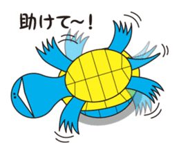 Turtle's Life sticker #460140