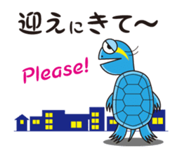 Turtle's Life sticker #460157