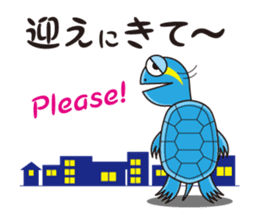 Turtle's Life sticker #460157
