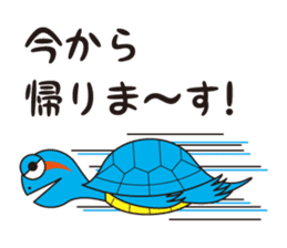 Turtle's Life sticker #460173