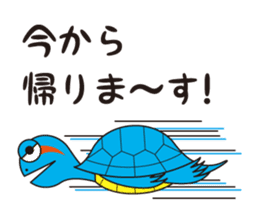 Turtle's Life sticker #460173