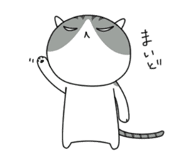 It's a cat! sticker #463175