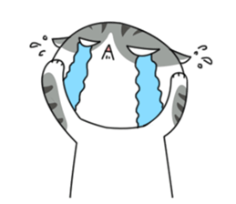 It's a cat! sticker #463190