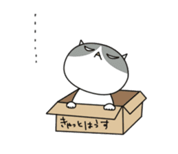 It's a cat! sticker #463196