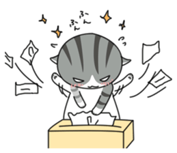 It's a cat! sticker #463203