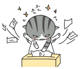 It's a cat! sticker #463203