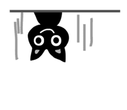 cool black cat - KURO - sticker #465195