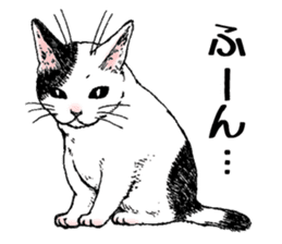 Buchi the cat sticker #466135