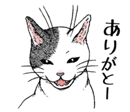 Buchi the cat sticker #466137