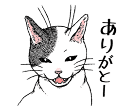 Buchi the cat sticker #466137