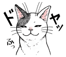 Buchi the cat sticker #466140