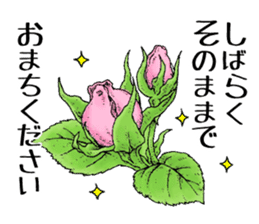 Buchi the cat sticker #466143