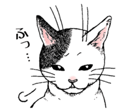 Buchi the cat sticker #466144