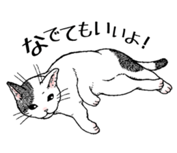 Buchi the cat sticker #466146