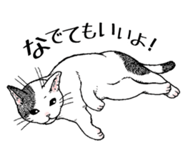 Buchi the cat sticker #466146