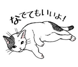 Buchi the cat sticker #466146