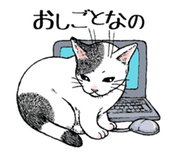 Buchi the cat sticker #466147