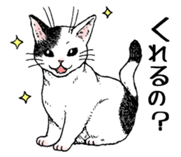 Buchi the cat sticker #466149