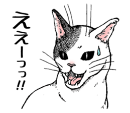 Buchi the cat sticker #466150