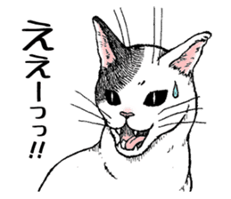 Buchi the cat sticker #466150