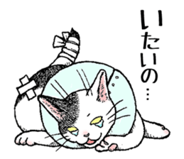 Buchi the cat sticker #466151