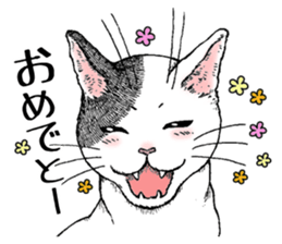 Buchi the cat sticker #466152