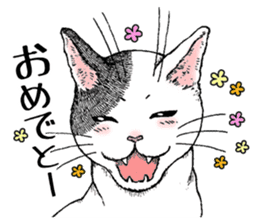 Buchi the cat sticker #466152