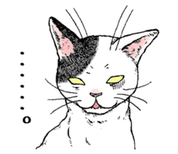 Buchi the cat sticker #466153