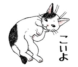 Buchi the cat sticker #466154