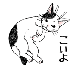 Buchi the cat sticker #466154