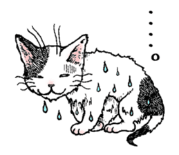 Buchi the cat sticker #466156